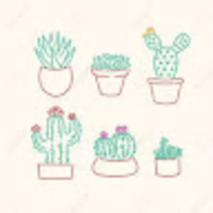 Meet your Posher, Malia